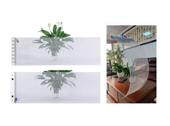 Transparent film screen